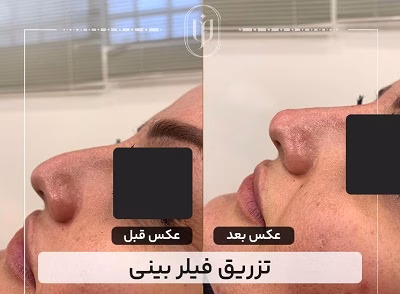 نمونهکار دکتر مریم فروغی